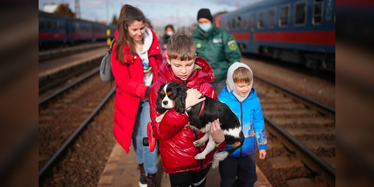 Nederlandse dierenartsen hebben driehonderd huisdieren uit Oekraïne behandeld