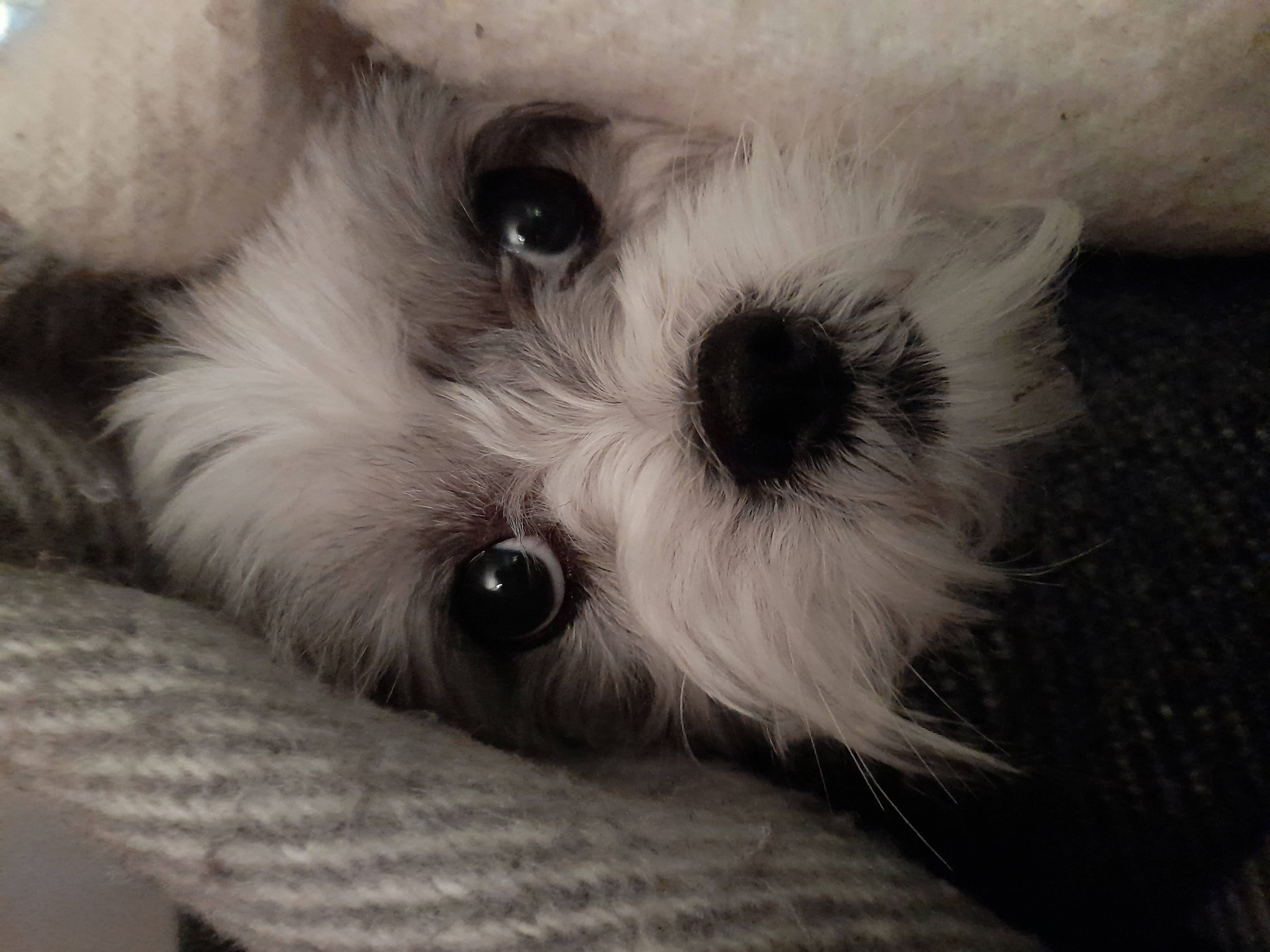 20240201 225242 E38NPB