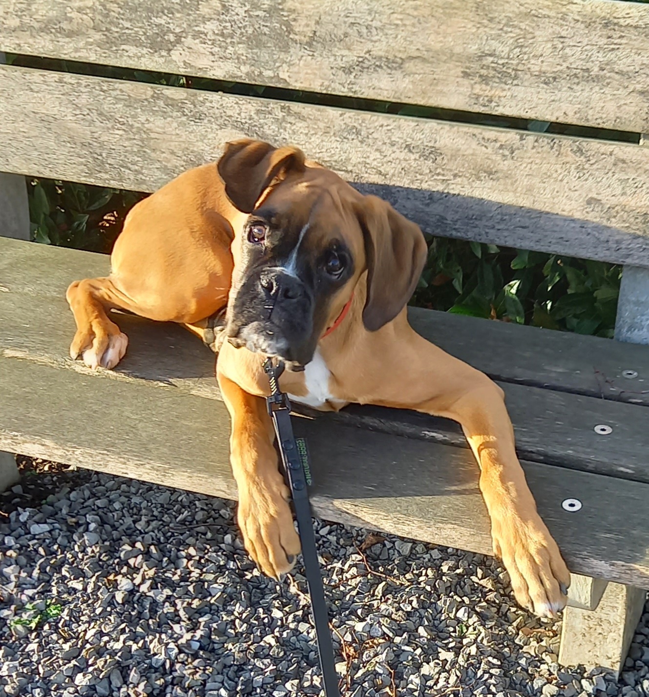 20250127 152906 AnDuev