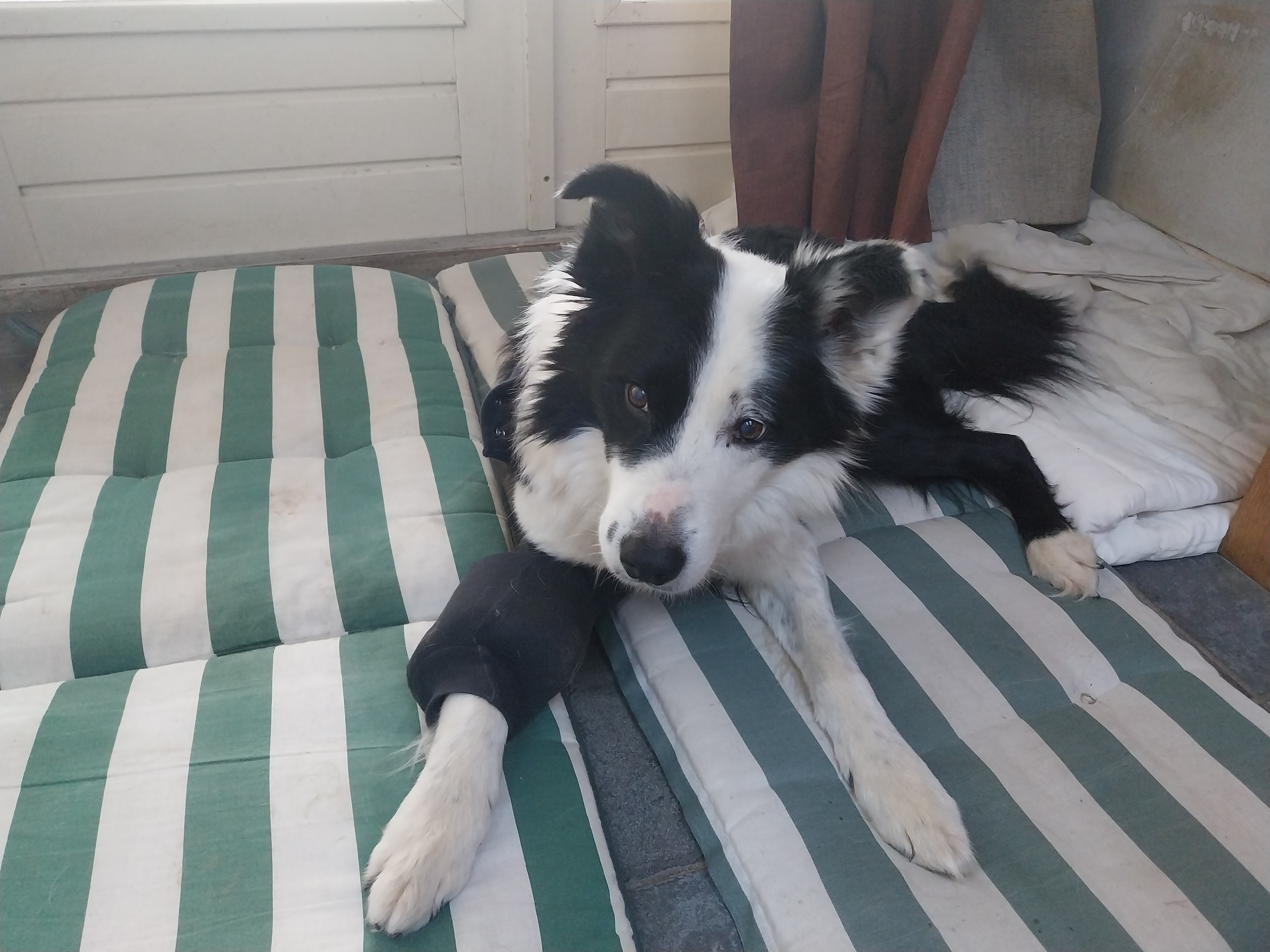 20250203 102919 5h0gvt