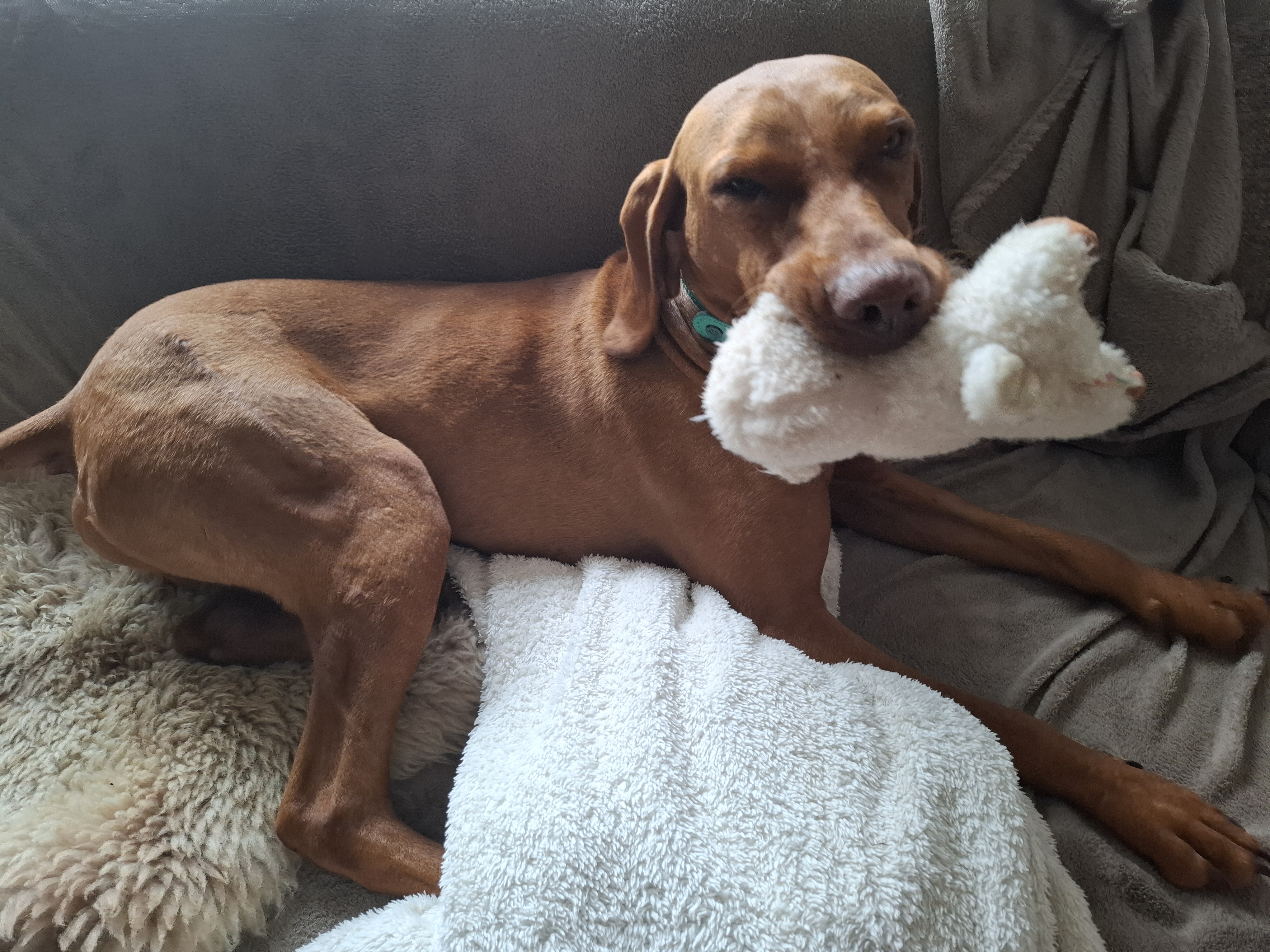 20250722 144620 KPY7R5