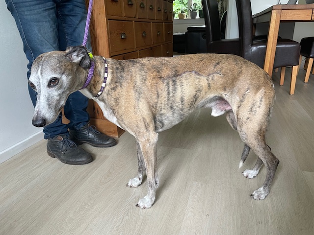 Max Dd 24 06 2025 Tf8YHh